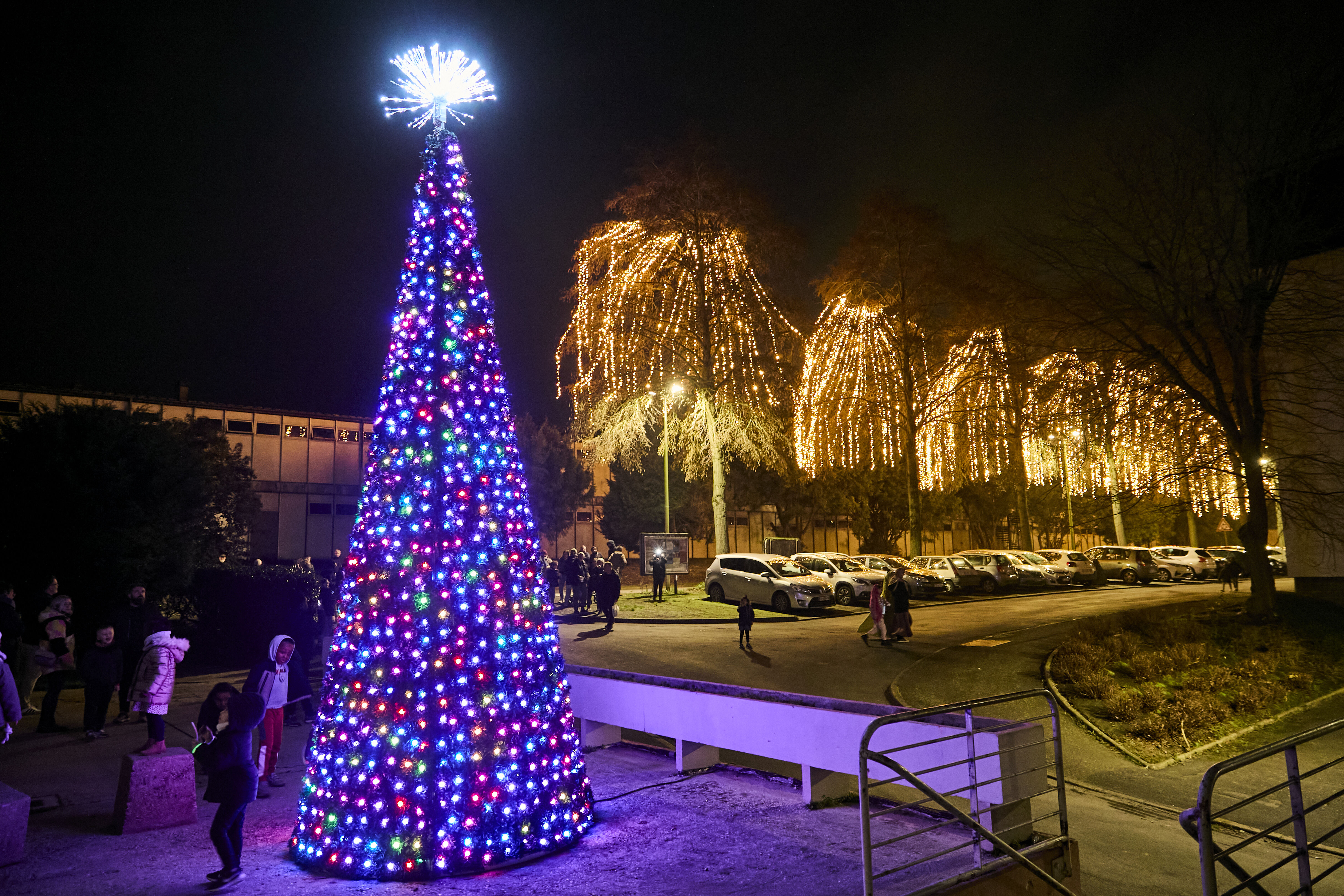 Illumination Dacterie